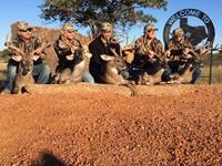 Huge Trophy Whitetail Deer