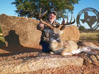Huge Trophy Whitetail Deer